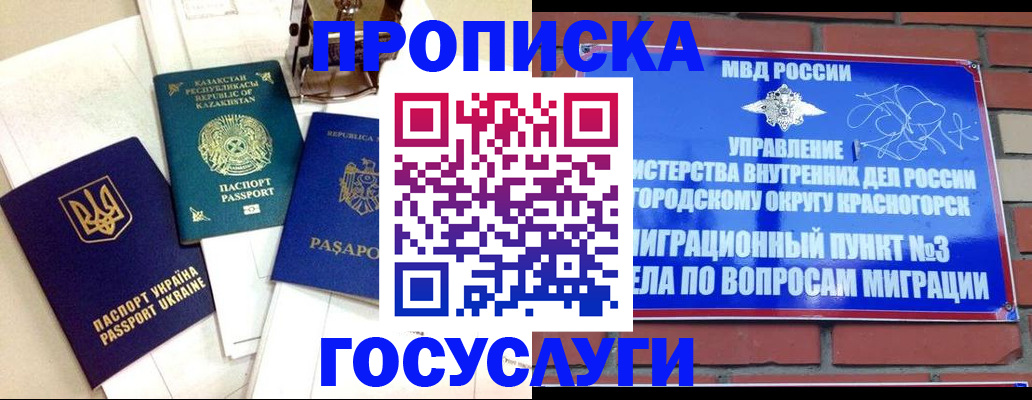 купить прописку в Ершове